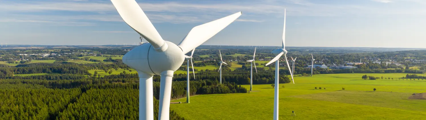 Windräder stehen auf einer grünen Wiesen vor Wald und blauem Himmel