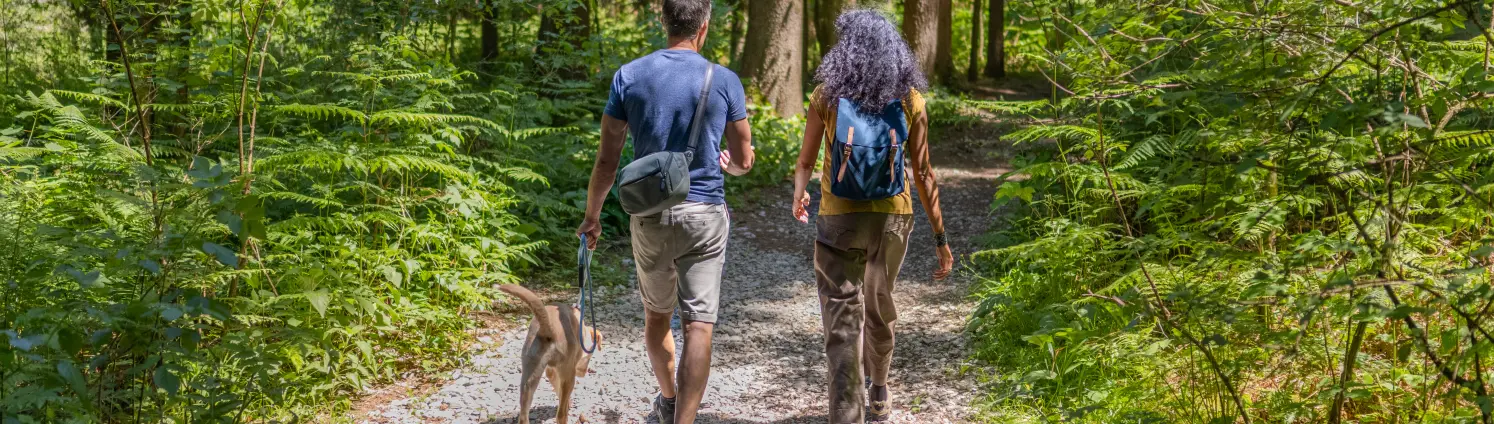 Ein Mann, eine Frau und ihr Hund gehen im Wald spazieren.