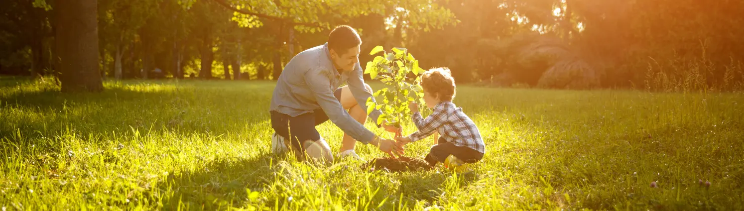 Vater und Sohn pflanzen einen Baum