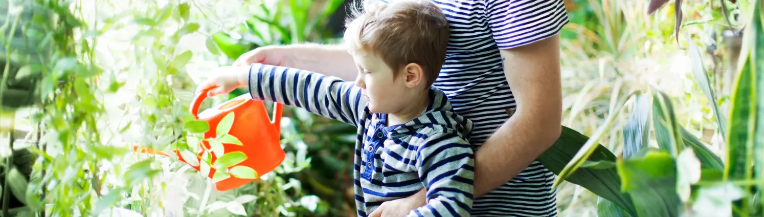 Ein Vater gießt mit seinem Sohn Pflanzen in einem Gewächshaus mit einer orangen Gießkanne